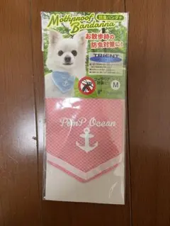 Item thumbnail for item 84954de9-175a-4e00-be27-917b67afb1ac