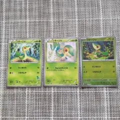 ツタージャ 3枚セット