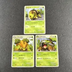 まとめ売り　レジェンド　ナエトル　ハヤシガメ　ドダイトス　ps543