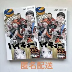ハイキュー　33.5 音駒番外編　2冊セット