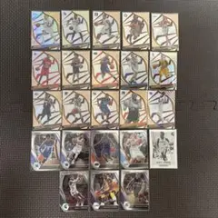 PANINI NBA 23枚