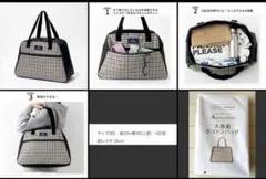 雑誌☆GLOW3月号特別付録