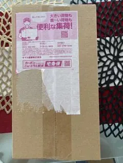 ポケモンセンター　ヒロシマスペシャルBOX 新品