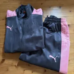 PUMA ジャージ 上下セットアップ グレー　ブラック ピンク