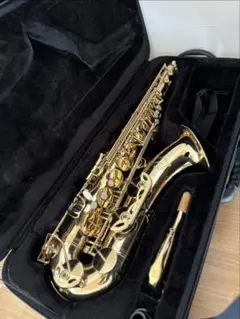 2026年最新】カドソン サックスの人気アイテム - メルカリ