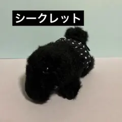 C*0様 ワーリーフレンズ ベイビーズ シークレット