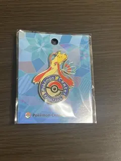 ポケモンセンター　カナザワ　ロゴピンズ　10個 ポケモンセンター カナザワ ロゴピンズ 10個 ポケモンセンター