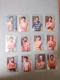 Item thumbnail for item 9c9a83b7-21fb-41ec-80ee-61e8cfef982d