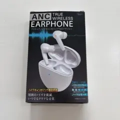 ANC true wireless earphone イヤホン ホワイト