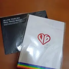V6 LIVE TOUR パンフレット　2冊　【020】