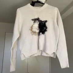 毛糸刺繍 クロップドニット 長袖
