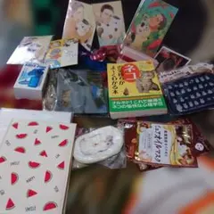 ネコの気持ちがよくわかる本当に、となりのトトロ、新品ミニファン、ネコとおじさん他のサムネイル