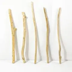 Item thumbnail for item fa4091d7-9c18-4243-8217-c08de1bfad78