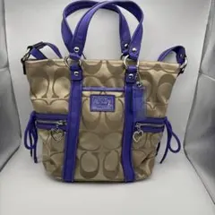 コーチ 2way ショルダー バッグ F20101