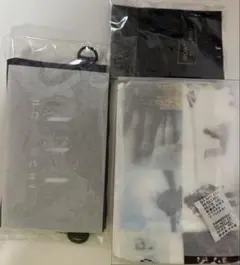 ボールアンドチェーン コラボ 赤い彗星シャアザクⅡ Mサイズ&ガンダムM