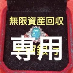 専用です。無限ループ　巨額資産回収　宇宙銀行　744