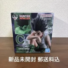 HUNTER x HUNTER ゴン MASTERISE C賞