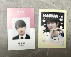 &TEAM エンティーム ハルア HARUA 学生証風トレカ、ステッカーセット