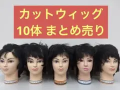 Item thumbnail for item a2e97517-dd70-42a4-849d-5332689f713d