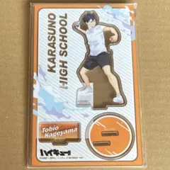 ハイキュー アクスタ 水遊び 影山