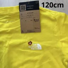トドラーショートスリーブオーガニックティーTHE NORTH FACE T120のサムネイル