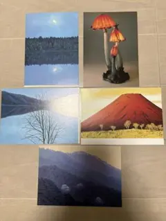 アートポストカード5枚セット