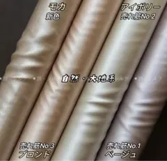 Item thumbnail for item 1d311786-6e26-46f4-88b2-4b87c13b9a97