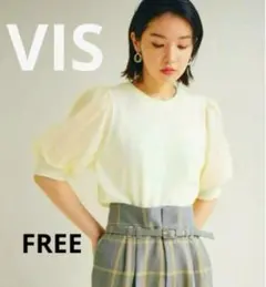 【美品】VIS★ 袖オーガンジー半袖ニットプルオーバー　FREEサイズ