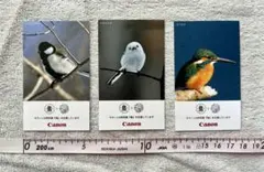 Item thumbnail for item 0f72682f-a14f-49cf-9360-c0a735736818