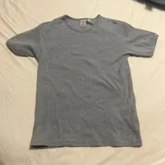 AVIREX U.S.A. ワッフルTシャツ グレー Lサイズのサムネイル