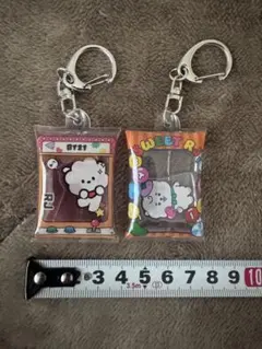BT21 RJ キーホルダーセット