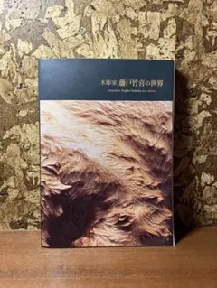 木彫家 藤戸竹喜の世界 図録 パンフレット リーフレット まとめ売り 木彫家 藤戸竹喜の世界 | 誠光社 通信販売