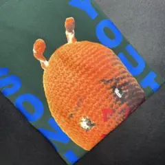 Sonic Youth × BEAMS × Champion Tシャツ