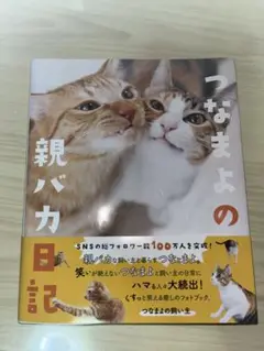 つなまよの親バカ日記