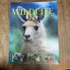 WILDLIFE AUSTRALIA 洋書 写真集 Steve Parish