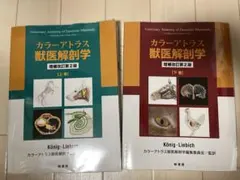 ドクター・パーマンの細胞診カラートラス - メルカリ