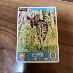 よこはま動物園ズーラシア トレカ 0025のサムネイル