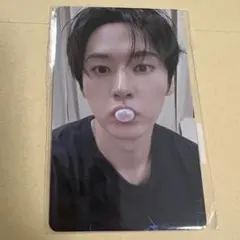 fans ヨントントレカ リノ