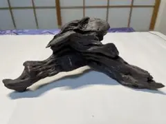 ダークブラウン流木 自然な形状