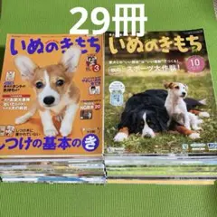 最終価格‼️がくぶん ペット介護士養成講座 テキストDVD - メルカリ