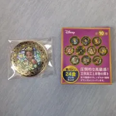 ディズニー 金バッジ ティアナ 24金メッキ仕上げのサムネイル