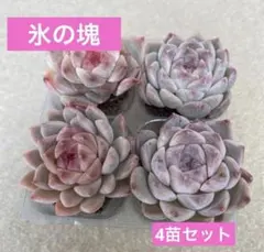 くぅ様専用　リクエスト　2点おまとめ