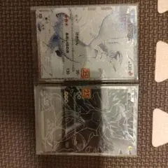 ゼクロム＆レシラム20thのサムネイル