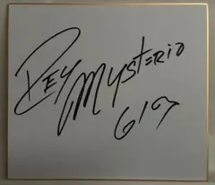 ロブ・ヴァン・ダム　直筆サイン色紙（外国人プロレスラー　WWEスーパースター） ロブ・ヴァン・ダム 直筆サイン色紙（外国人プロレスラー WWEスーパー