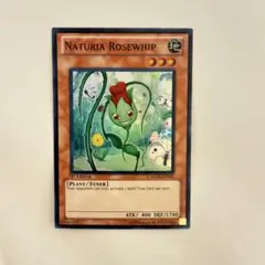 遊戯王　ナチュルローズウィップ　英語