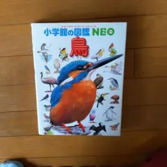 Item thumbnail for item b588c468-0a5a-4a1f-99c1-93b258aba67a