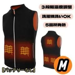 電熱ベスト 3段階温度調整 即暖 丸洗い ヒートベスト USB フリース