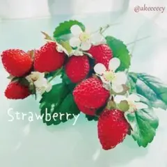 [인기 ❁] 스웨그픽 ♡ 딸기가 듬뿍 들어간 귀여운 딸기_J9