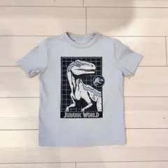 GAP キッズ Tシャツ 140 恐竜 ティラノサウルス 男の子 夏
