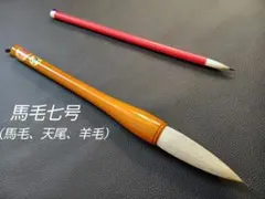 Item thumbnail for item 3d68bfa2-0c53-4c26-957e-2a8676587ca5